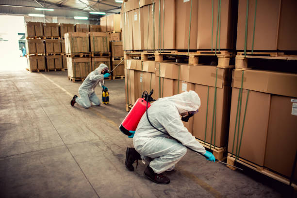 Best Affordable Pest Control Services  in Coal City, IL