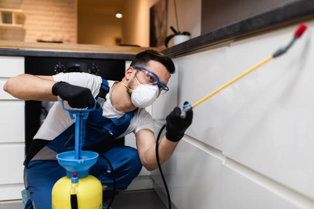 Best Pest Prevention Services  in Coal City, IL