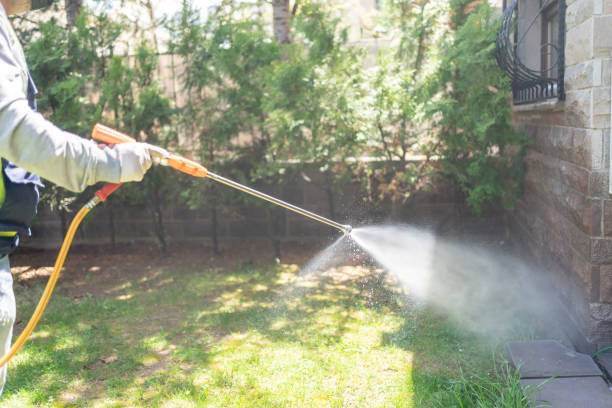 Pest Prevention Services in Coal City, IL