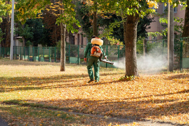 Best Residential Pest Control  in Coal City, IL